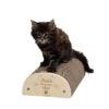 Griffoir J'habite Chez Mon Chat -Flamingo || ROYAL CANIN || Trixie Soldes Boutique a5524b37cbabdaa013390a8e07c9ca4cdcfcb98379bcea2237fc23f13f57605a