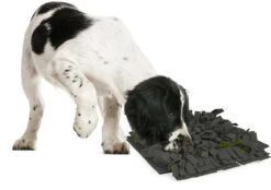 Flamingo Tapis à Renifler Amigo Rectangulaire + Fermeture Eclair Gris/vert 40x50cm -Flamingo || ROYAL CANIN || Trixie Soldes Boutique a775a03a816b5a96e49c58cd3ecbc26540a84574cd16c3ba95abf6994148d0f2