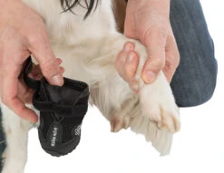 Trixie Chaussures De Protection Walker Active / M 2pcs. -Flamingo || ROYAL CANIN || Trixie Soldes Boutique a9ed7403e7270fba9cbe0c569267f57bb704d33b769ec1a5458f95b1bf0c54e0 4