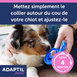 Adaptil Junior Collier (46,5cm) -Flamingo || ROYAL CANIN || Trixie Soldes Boutique adaptil collier junior 3 FR