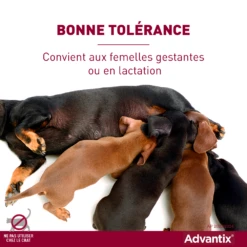 Advantix Chien Moyen 10-25Kg -Flamingo || ROYAL CANIN || Trixie Soldes Boutique advantix bonne tol rance