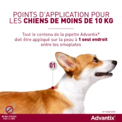Advantix Très Petit Chien 2-4Kg -Flamingo || ROYAL CANIN || Trixie Soldes Boutique advantix point d application 2
