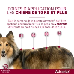 Advantix Chien Moyen 10-25Kg -Flamingo || ROYAL CANIN || Trixie Soldes Boutique advantix point d application grands chiens