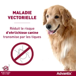 Bayer Advantix Grand Chien 25-40Kg -Flamingo || ROYAL CANIN || Trixie Soldes Boutique advantix r duit le risque de maladies vectorielles