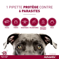 Advantix Chien Moyen 10-25Kg -Flamingo || ROYAL CANIN || Trixie Soldes Boutique advantix spectre de protection 1