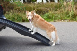 Flamingo Rampe Chien Pliante En Plastique 150x39,5x13 -Flamingo || ROYAL CANIN || Trixie Soldes Boutique afd13099f3486cf54e9ef19eb06f2dd5e8c0e5ae0d4f8b7e284c3b461515fa17