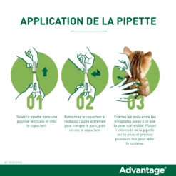 Advantage 80 Chat Et Lapin De Plus De 4 Kg -Flamingo || ROYAL CANIN || Trixie Soldes Boutique application de la pipette advantage