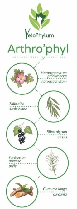 Arthro'Phyl -Flamingo || ROYAL CANIN || Trixie Soldes Boutique arthrophyl4