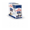 Royal Canin Maxi Ageing 8+ Pour Chien 10 X 140g -Flamingo || ROYAL CANIN || Trixie Soldes Boutique b0b43132a0501787f5447e97d82f82218426be26eb348de4f750b857b6561a87