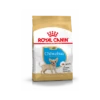 Royal Canin - Puppy Chihuahua Chiot De 2 A 8 Mois - 1,5kg -Flamingo || ROYAL CANIN || Trixie Soldes Boutique b2525201d20f9b207bff384de4c730931a31d97aa7725645e737be513dc2dcf8