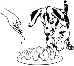 Flamingo Gamelle Anti-glouton Northmate Green Mini 29x22,5x7cm -Flamingo || ROYAL CANIN || Trixie Soldes Boutique b74acb27fc8671dd3a6a347beb8b4d678a9f6bea25d7cfd99894003e8e580dae