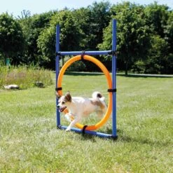 Trixie Fun Agility Anneau -Flamingo || ROYAL CANIN || Trixie Soldes Boutique b79a4466414a4da2954e391c8207a65bb94e1716621690dc570aa14f387fe2a5