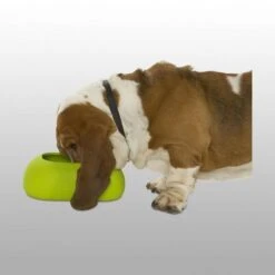 Buster Gamelle Incredibowl 9 Buster Gamelle Incredibowl -Flamingo || ROYAL CANIN || Trixie Soldes Boutique b7db7eb0627be48e1161fb24e8121baeec2f2b6161bf624f19777e80bde9c2c9