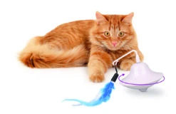 Flamingo Jouet Chat Scully Electro Dia. 9,7cm -Flamingo || ROYAL CANIN || Trixie Soldes Boutique b9844104c47250fc7f535f3590b1b4419bc7e40968ece37baf777bb09b2f8ccf