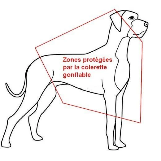 Collier Lune 4 Collier Lune – Image 2