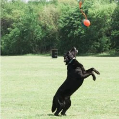 Ballon 3 En 1 Rope Fetch -Flamingo || ROYAL CANIN || Trixie Soldes Boutique ballon 3 en 1 rope fetch3