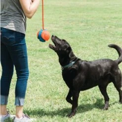 Ballon 3 En 1 Rope Fetch -Flamingo || ROYAL CANIN || Trixie Soldes Boutique ballon 3 en 1 rope fetch5