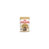 Royal Canin Maine Coon Adult Pour Chat 12 X 85g -Flamingo || ROYAL CANIN || Trixie Soldes Boutique c0dc1d655f4be394e5a761412039a16c8fc1d9261de7484ba62044c0ef0db58c 1