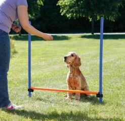 Trixie Obstacle Fun Agility -Flamingo || ROYAL CANIN || Trixie Soldes Boutique c1eb09e3666625338db3d0ddde7dcf7e26f8ad1f96df37beb3e340b6763bcae1