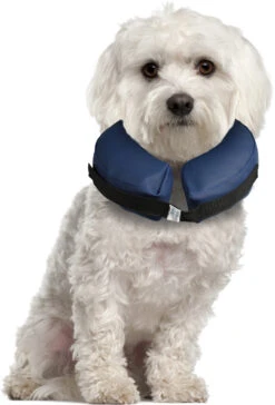 Flamingo Collier Gonflable Pour Chiens Gofi S -Flamingo || ROYAL CANIN || Trixie Soldes Boutique c76564a084433e164fdda469521c2f8b95e5c504b608d8280deab069721e7d8e