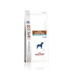 Royal Canin Gastro Intestinal Moderate Calorie Chien -Flamingo || ROYAL CANIN || Trixie Soldes Boutique c96be46b08946a606f224303102df65abfaed4d03ddb9e5c7287ed64f3014855