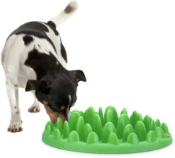 Flamingo Gamelle Anti-glouton Northmate Green Vert 40x30x10cm 8 Flamingo Gamelle Anti-glouton Northmate Green Vert 40x30x10cm -Flamingo || ROYAL CANIN || Trixie Soldes Boutique ca21cf77c020913a229f12bbf00744c386edd36c219b18ff30946abedd6b8831