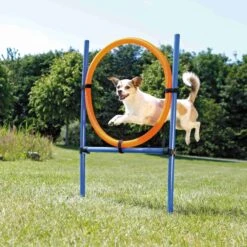 Trixie Fun Agility Anneau -Flamingo || ROYAL CANIN || Trixie Soldes Boutique cad8bc371e5482bac9a79dc43148760ac719992c4d78f9f0bddaf49c87e3169a