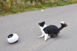 Flamingo Jouet Chien Elton Interactif Distributeur Automatique De Friandises+balles De Tennis 33x24x29cm -Flamingo || ROYAL CANIN || Trixie Soldes Boutique cbb3ba05b8066ea246a2bc1a26978531b6e24a1e3315a5847be7e78fa7441235