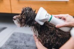 Devant -Flamingo || ROYAL CANIN || Trixie Soldes Boutique cd14caacb212c4e1ce6d1744d40e22fc4e40d5cfe88a1ab34b0a4d6d6138f041