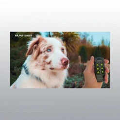 Collier De Dressage Canicom Voice NUM'AXES -Flamingo || ROYAL CANIN || Trixie Soldes Boutique collier dressage canicom voice4