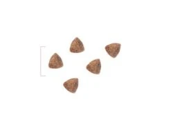 ROYAL CANIN PEDIATRIC STARTER DOG - 12 Kg -Flamingo || ROYAL CANIN || Trixie Soldes Boutique croquettes starter