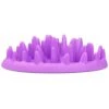 Flamingo Gamelle Anti-glouton Northmate Catch 27x23x8cm Violet -Flamingo || ROYAL CANIN || Trixie Soldes Boutique df08a4a864f3ea89d134f698941c1182831070e6ef1067dffac6a7ccc9ec4bc9