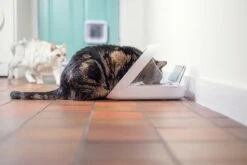 Sureflap Distributeur De Nourriture Connect Surefeed -Flamingo || ROYAL CANIN || Trixie Soldes Boutique distributeur de nourriture connect surefeed 6