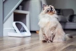 Sureflap Distributeur De Nourriture Connect Surefeed -Flamingo || ROYAL CANIN || Trixie Soldes Boutique distributeur de nourriture connect surefeed 8