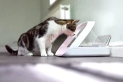 Sureflap Distributeur De Nourriture Connect Surefeed -Flamingo || ROYAL CANIN || Trixie Soldes Boutique distributeur de nourriture connect surefeed 9