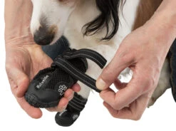 Trixie Chaussures De Protection Walker Active / L 2pcs. -Flamingo || ROYAL CANIN || Trixie Soldes Boutique e08062450bd8a32b408258fb4c31ff7f7447657b0f4f3fa1ecca0f8550d45313