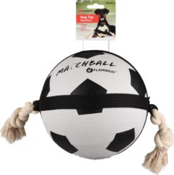Flamingo Jouet Chien Matchball Balle De Foot 22cm -Flamingo || ROYAL CANIN || Trixie Soldes Boutique ec9ca983dbbfc898b3546e79c4e85e8d0217d381f6afc4d75349aca743d6611d