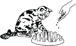 Flamingo Gamelle Anti-glouton Northmate Catch 27x23x8cm Violet -Flamingo || ROYAL CANIN || Trixie Soldes Boutique edc72a656a40ed0f4f4be75cc91ef98d23cf8175636af623d70d9fdbaf48c07a