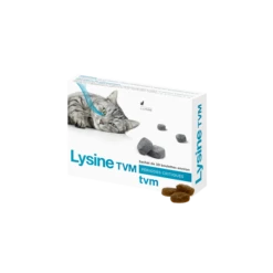 Lysine