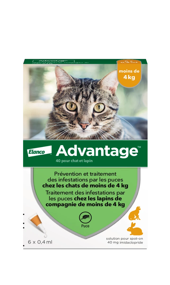 Advantage 40 Chat Et Lapin De 1 à 4 Kg – Image 2