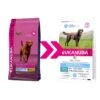 Eukanuba Adult Weight Control Large Breed Pour Chien 12kg -Flamingo || ROYAL CANIN || Trixie Soldes Boutique eukanuba daily care large weight control 15kg change 1