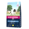 Eukanuba Mature Medium Breed Pour Chien 12kg -Flamingo || ROYAL CANIN || Trixie Soldes Boutique eukanuba mature medium breed chicken 1