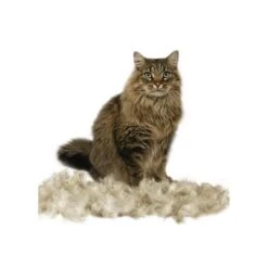 Furminator Brosse Chats à Poils Courts -Flamingo || ROYAL CANIN || Trixie Soldes Boutique fa1c25f63d0759be4d659bba7ad3eac32c29d349ea59e6924901869e6d9887ce