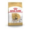 Royal Canin Carlin (Pug) Adult Pour Chien 3kg 1 Royal Canin Carlin (Pug) Adult Pour Chien 3kg -Flamingo || ROYAL CANIN || Trixie Soldes Boutique fac733a9347eb6ccab4c9944334f4bc79e06dae5f7c3f4b0ed2346d8d303af29