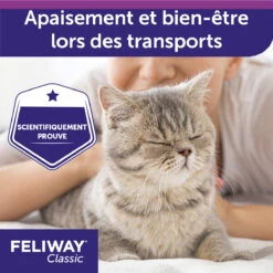 Feliway Spray 20ml -Flamingo || ROYAL CANIN || Trixie Soldes Boutique feliway spray 20ml 4 FR