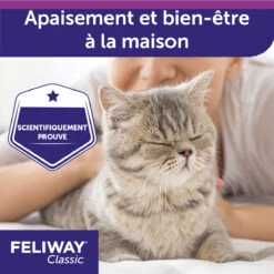 Feliway F3 Spray 60 Ml -Flamingo || ROYAL CANIN || Trixie Soldes Boutique feliway spray 60ml 4 FR
