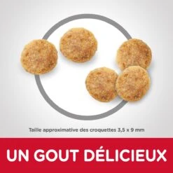 Hill's Science Plan Senior 11+ Croquettes Pour Chat Mature Au Poulet 3Kg -Flamingo || ROYAL CANIN || Trixie Soldes Boutique hills science plan chat senior 11 poulet4