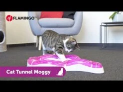 Flamingo Jouet Chat Moggy Tunnel 39x39x7,7cm -Flamingo || ROYAL CANIN || Trixie Soldes Boutique hqdefault 4 1