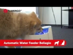 Flamingo Fontaine A Eau Bellagio Vert 2000ml -Flamingo || ROYAL CANIN || Trixie Soldes Boutique hqdefault 5