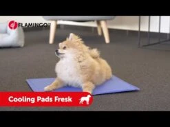 Flamingo Tapis Rafraîchissant Fresk - S (50x40cm) -Flamingo || ROYAL CANIN || Trixie Soldes Boutique hqdefault 5 1